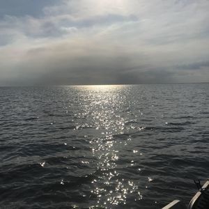 Meet your Posher, Kathy polich